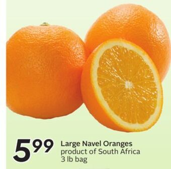 Sobeys Large navel oranges offer