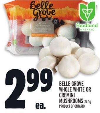 Metro Belle grove whole white or cremini mushrooms offer