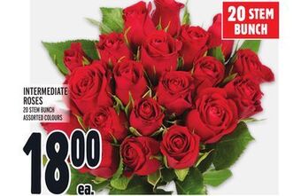 Metro Intermediate roses offer