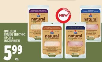 Metro Maple leaf natural selections offer