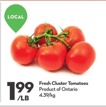 Longo's Fresh cluster tomatoes offer
