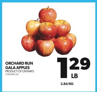 Real Canadian Superstore Orchard run gala apples offer