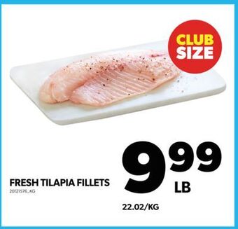 Real Canadian Superstore Fresh tilapia fillets offer