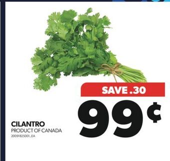 Real Canadian Superstore Cilantro offer