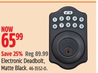Canadian Tire Ezset electronic deadbolt, matte black offer