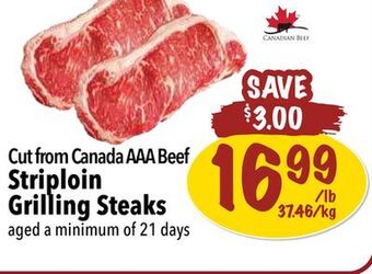 Farm Boy Cut from canada aaa beef striploin grilling steaks offer