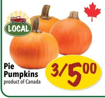 Farm Boy Pie pumpkins offer