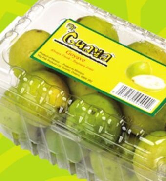 FreshCo Guava fruit 590 g product of mexico offer