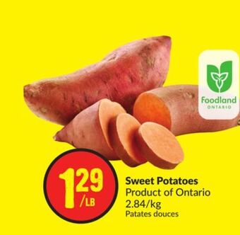FreshCo Sweet potatoes product of ontario 2.84/kg offer