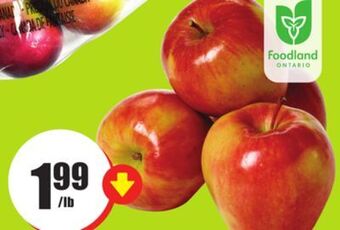FreshCo Ambrosia apples product of ontario canada extra fancy 4.39/kg offer