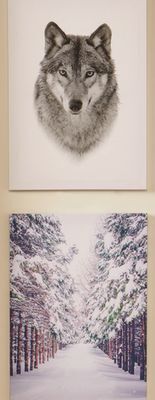 Giant Tiger Canvas art offer