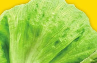 Giant Tiger Iceberg lettuce offer