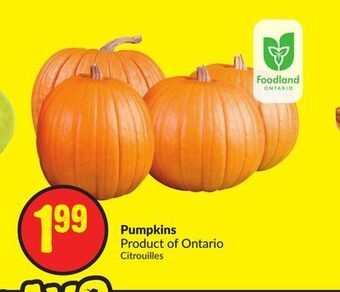 Chalo FreshCo Pumpkins product of ontario offer