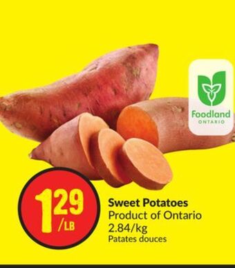 Chalo FreshCo Sweet potatoes product of ontario 2.84/kg offer