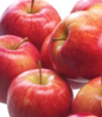 Giant Tiger 3 lb royal gala apples offer