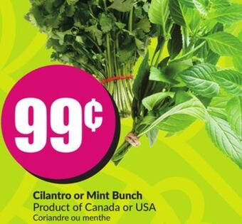 Chalo FreshCo Cilantro or mint bunch product of canada or usa offer