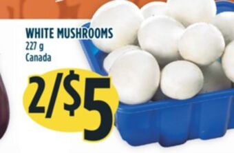 Marché Adonis White mushrooms offer