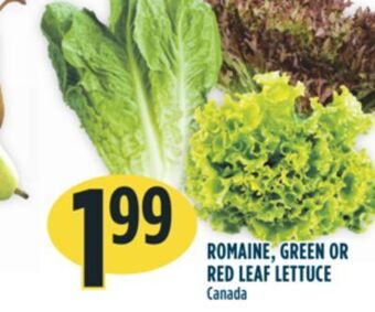Marché Adonis Romaine, green or red leaf lettuce offer
