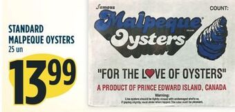 Standard malpeque oysters
