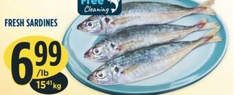 Marché Adonis Fresh sardines offer