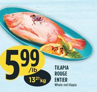 Marché Adonis Tilapia rouge entier offer