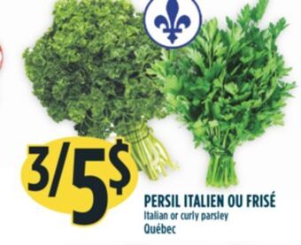 Marché Adonis Persil italien ou frisé offer