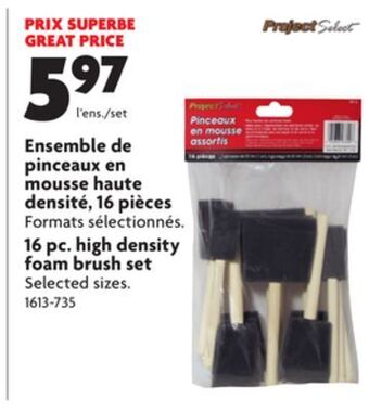 Home Hardware 16 pc. high density foam brush set offer