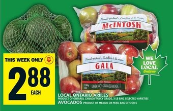 Food Basics LOCAL ONTARIO APPLES 3LB, AVOCADOS BAG OF 5 OR 6 offer