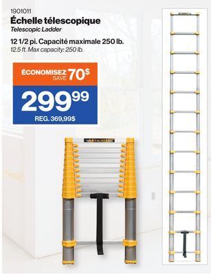 Patrick Morin Telescopic ladder offer