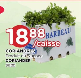 Kim Phat Coriander offer