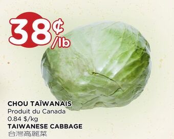 Kim Phat Taiwanese cabbage offer