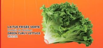 Kim Phat Green curly lettuce offer
