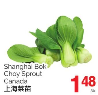 T&T Supermarket Shanghai bok choy sprout offer