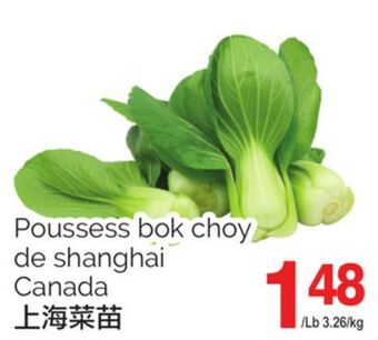 T&T Supermarket Poussess bok choy de shanghai canada offer