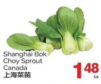 T&T Supermarket Shanghai Bok Choy Sprout offer