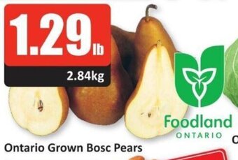 Starsky Ontario Grown Bosc Pears offer