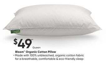 Sleep Country Bloom organic cotton pillow offer