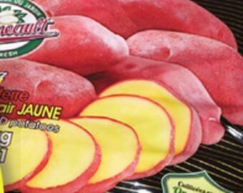 IGA Yellow fleshed red potatoes offer