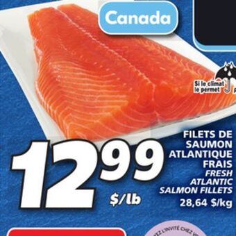 IGA Fresh atlantic salmon fillets offer