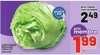 Metro Laitue iceberg | iceberg lettuce offer