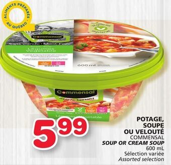 Marches Tradition Commensal soup or cream soup offer
