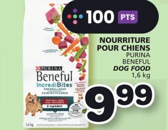 Marches Tradition Purina beneful dog food offer