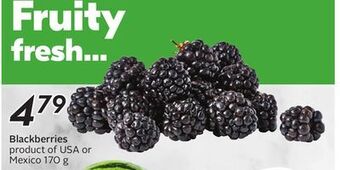 Sobeys Blackberries offer