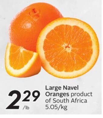 Sobeys Large navel oranges offer