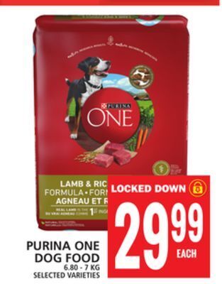 Food Basics Purina one dog food offer
