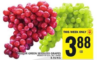 Food Basics Red or green seedless grapes offer