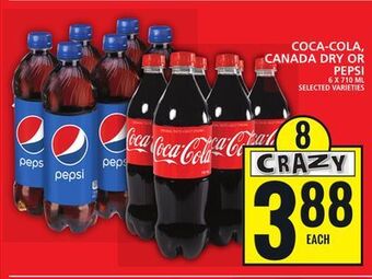 Food Basics Coca-cola, canada dry or pepsi offer
