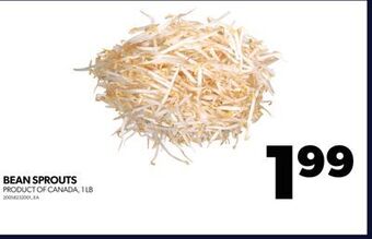 Real Canadian Superstore Bean sprouts, 1 lb offer