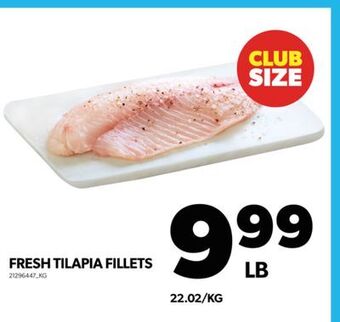 Real Canadian Superstore Fresh tilapia fillets offer