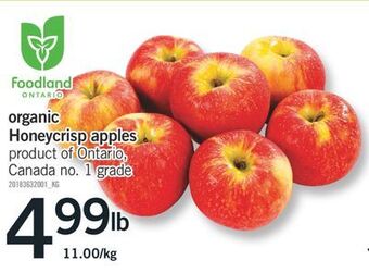 Fortinos Organic honeycrisp apples offer